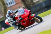 Oulton-Park-20th-March-2020;PJ-Motorsport-Photography-2020;anglesey;brands-hatch;cadwell-park;croft;donington-park;enduro-digital-images;event-digital-images;eventdigitalimages;mallory;no-limits;oulton-park;peter-wileman-photography;racing-digital-images;silverstone;snetterton;trackday-digital-images;trackday-photos;vmcc-banbury-run;welsh-2-day-enduro